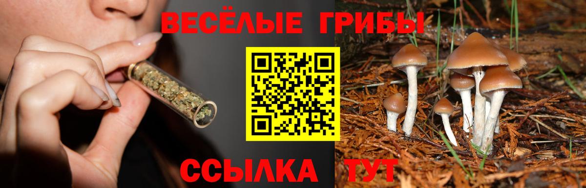 Галлюциногенные грибы мицелий  Галлюциногенные грибы мухоморы  Вход с VPN  Сертолово 